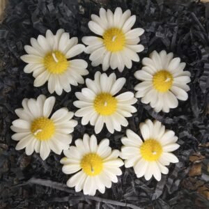 Beautiful Daisy Flower scented candle Decorative Candles for Home Decoration Pack of 6 Pcs