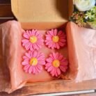 WhatsApp Image 2025-10-08 at 9.27.06 PM