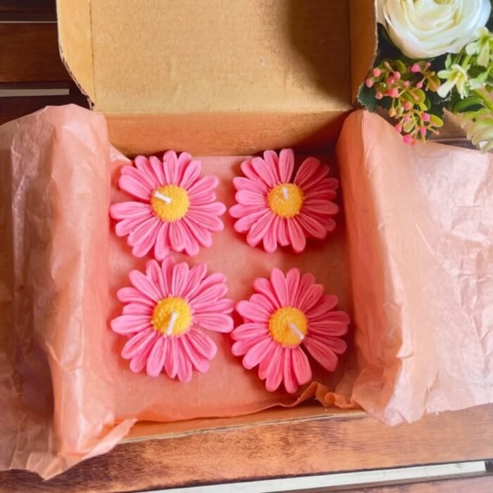 WhatsApp Image 2025-10-08 at 9.27.06 PM