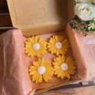 WhatsApp Image 2025-10-08 at 9.27.07 PM