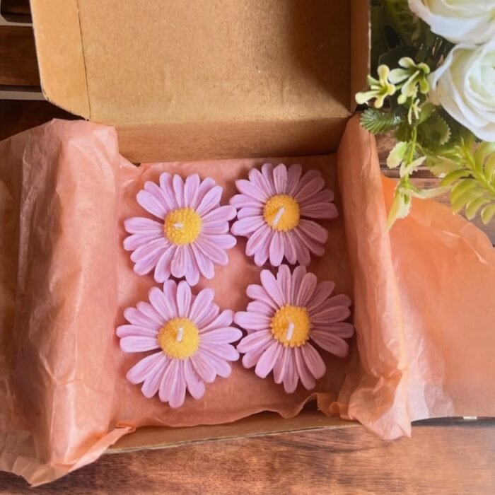 WhatsApp Image 2025-10-08 at 9.27.08 PM (1)