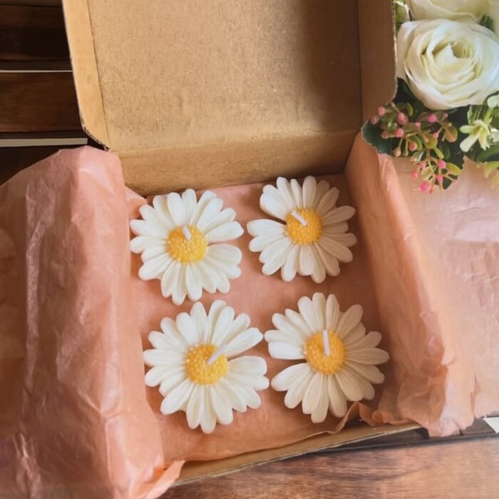 WhatsApp Image 2025-10-08 at 9.27.08 PM