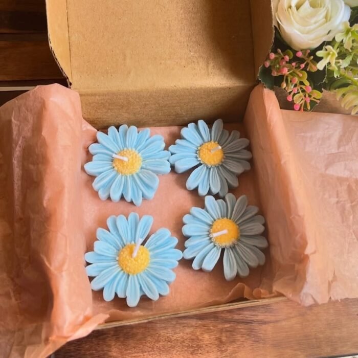 WhatsApp Image 2025-10-08 at 9.27.09 PM (1)