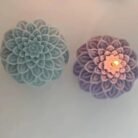 WhatsApp Image 2025-10-15 at 3.24.34 PM