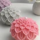 WhatsApp Image 2025-10-15 at 3.25.01 PM