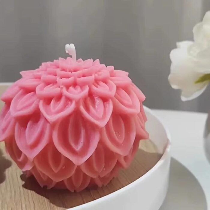 WhatsApp Image 2025-10-15 at 3.25.21 PM